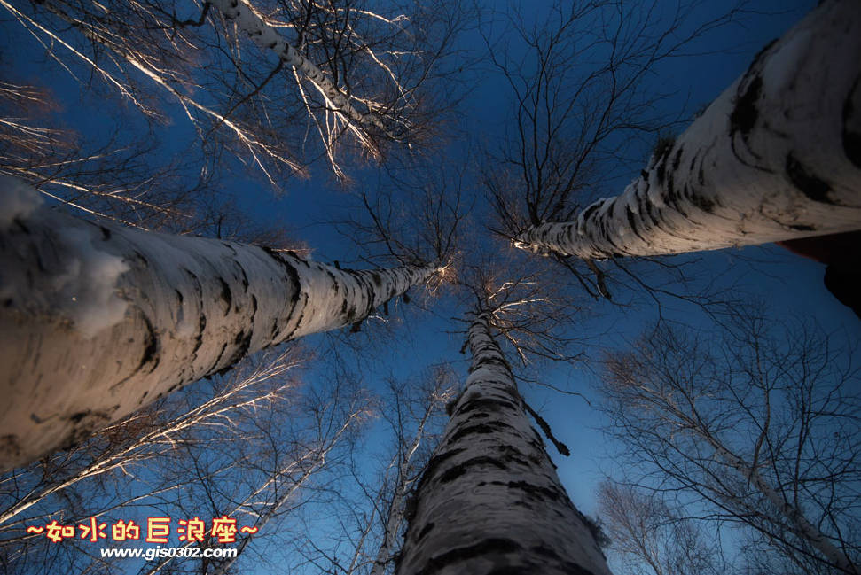 20101225东北跨年行之完结篇