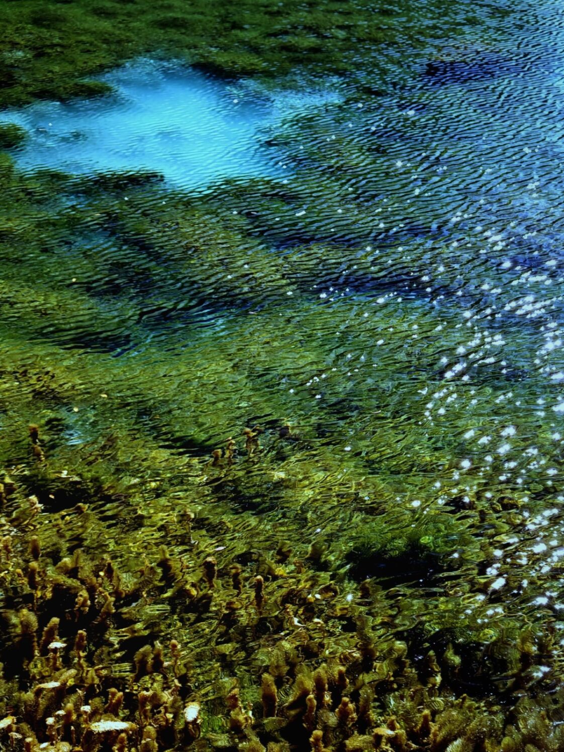 20241110再访九寨沟